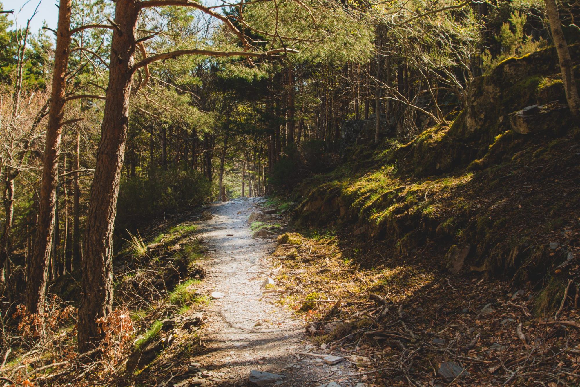 Trails on the campus