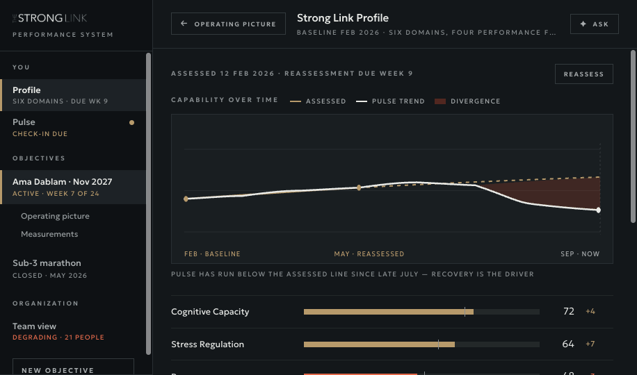 Strong Link Profile: capability over time and the six domain measurements